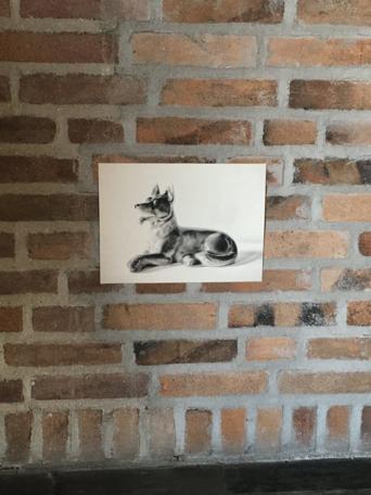 Foto 1
